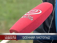 Осенний листопад