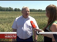 Итоги Дня поля в Малоархангельском районе