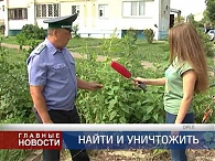 Найти и уничтожить