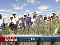 Шатилово-2017