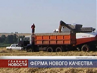 Образцовое хозяйство
