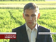 Богоугодное дело