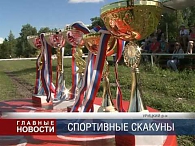 Кубок по конкуру