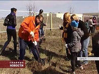 Орел станет зеленее.