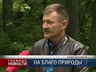 День работника леса