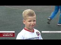 Орел примет кубок России по каратэ