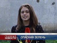 Вырвать с корнем