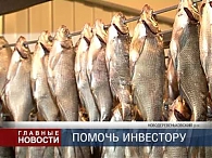Невидимая рыба