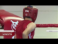 Орёл отметил Международный день бокса