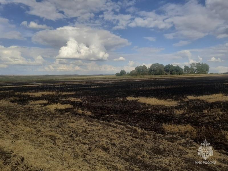 В Орловской области потушили горящую стерню на площади 1 га