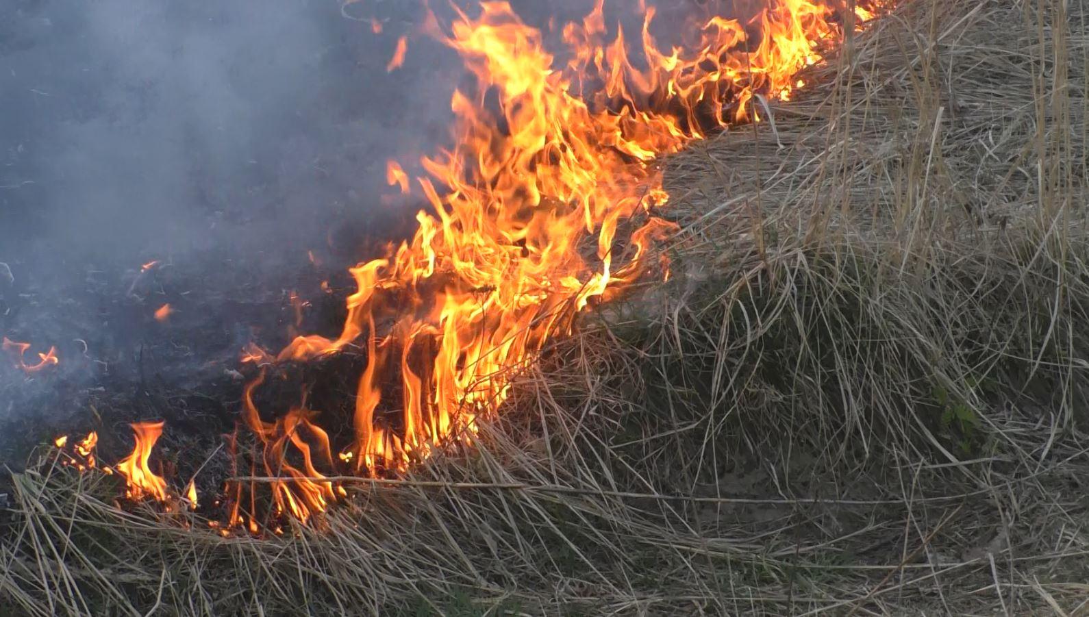 3,5 га горящей травы тушили в Орловском Округе