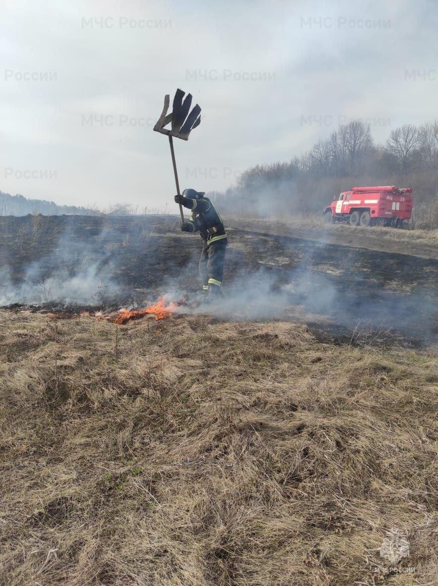 В Орловской области за сутки сгорело 13 га сухой травы