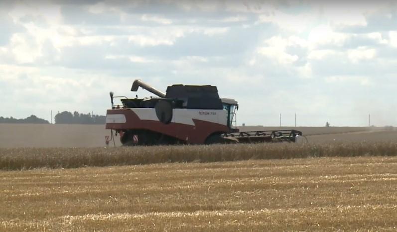 В Орловской области уже убрано 300 га озимой пшеницы