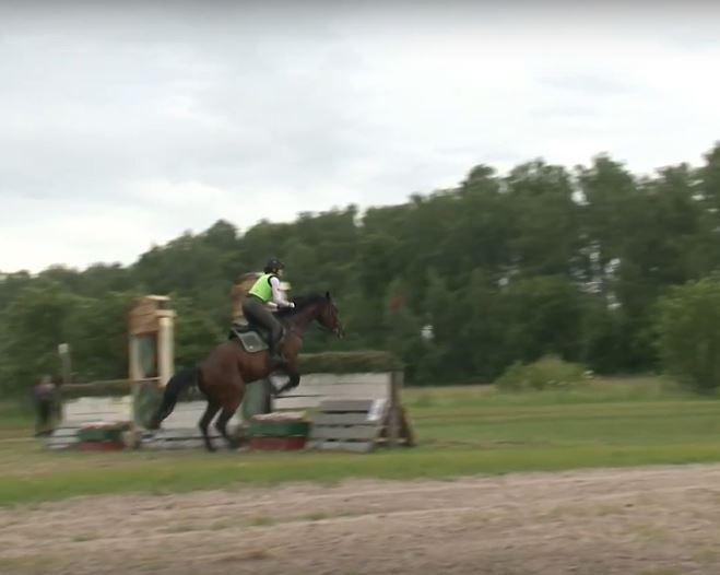 В Орловской области стартовали соревнования по конному спорту