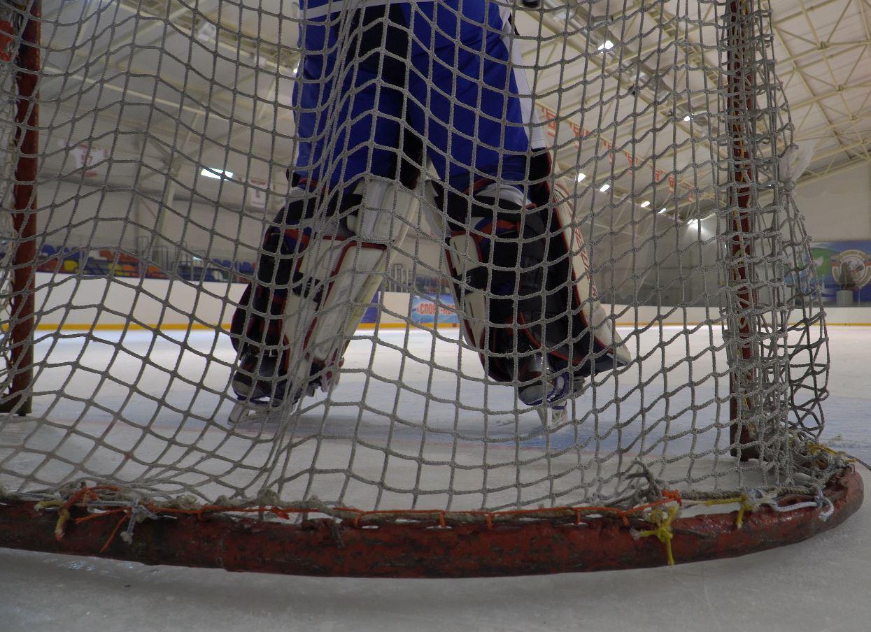 Орловский лед в воскресенье соберет чемпионов мира и олимпийских чемпионов по хоккею