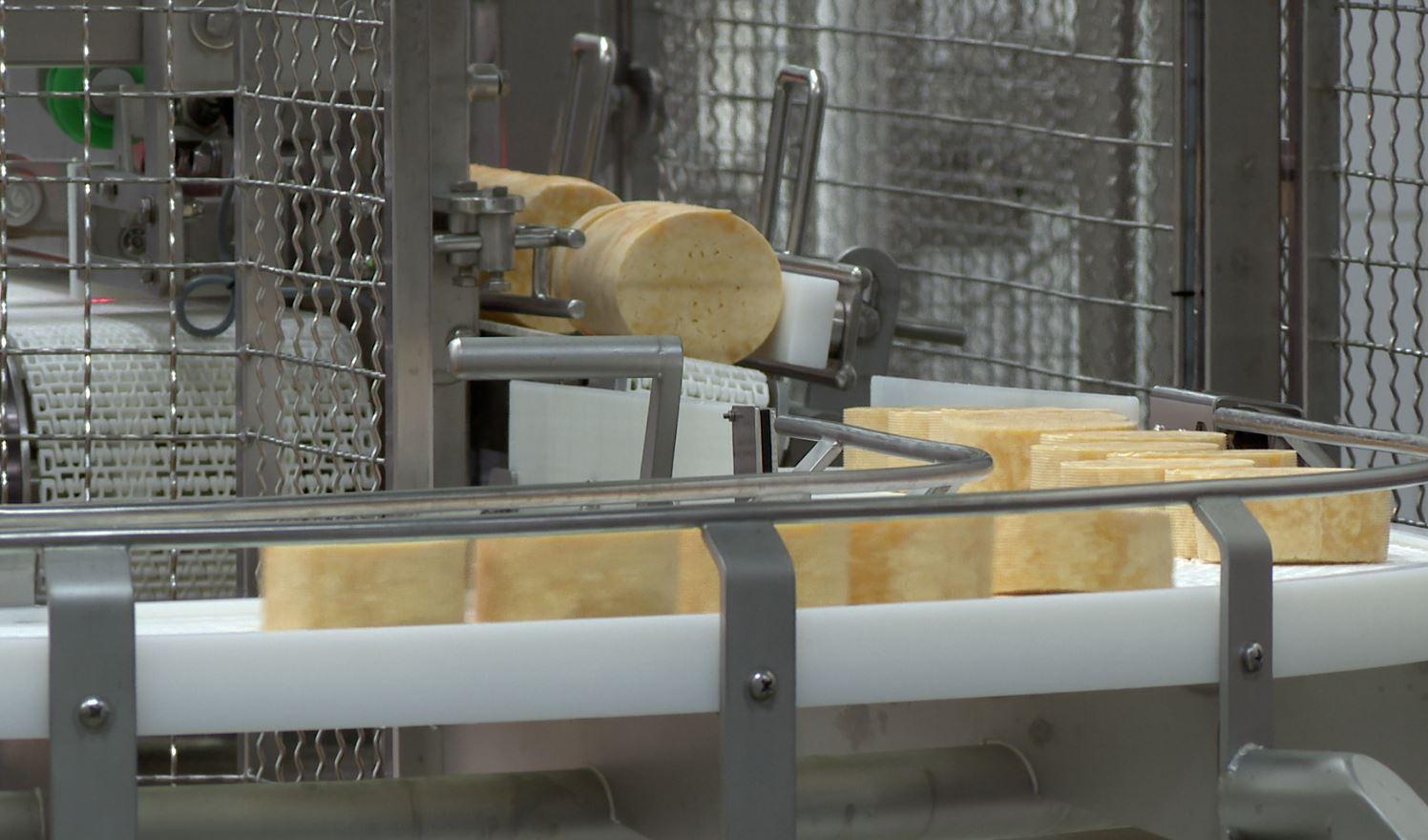 12 тысяч тонн сыра произвели в Орловской области в 2023 году