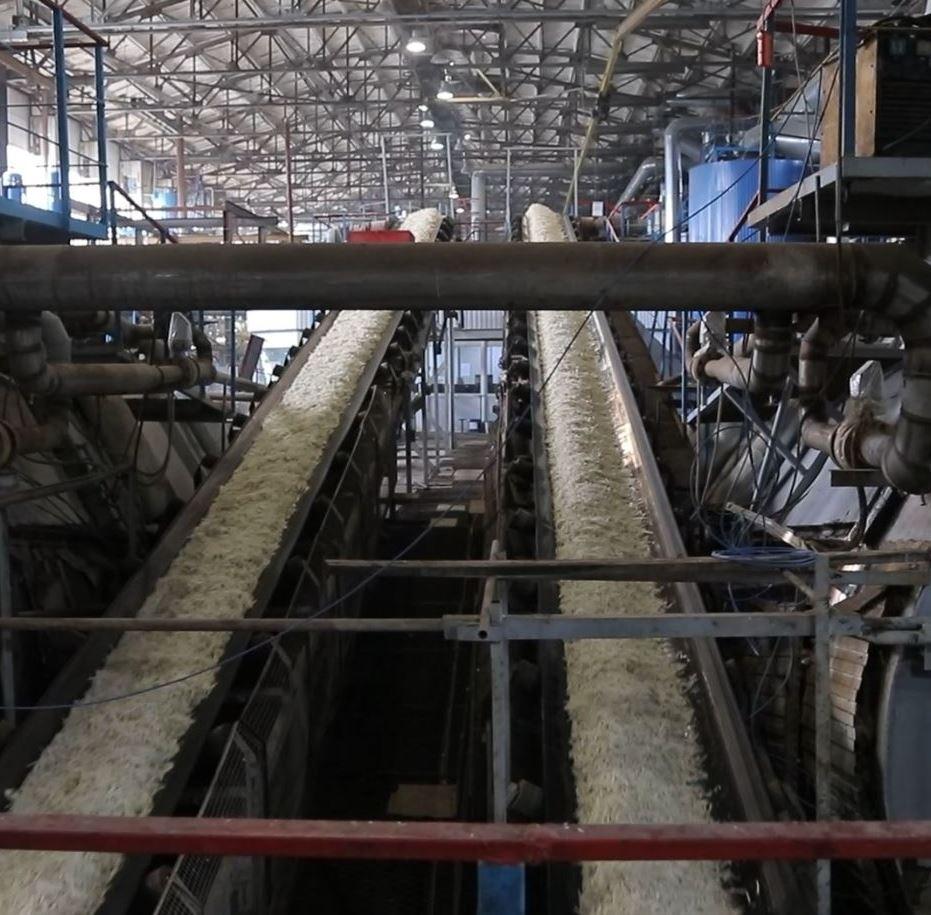 Более миллиона тонн сахарной свеклы заготовили в Орловской области