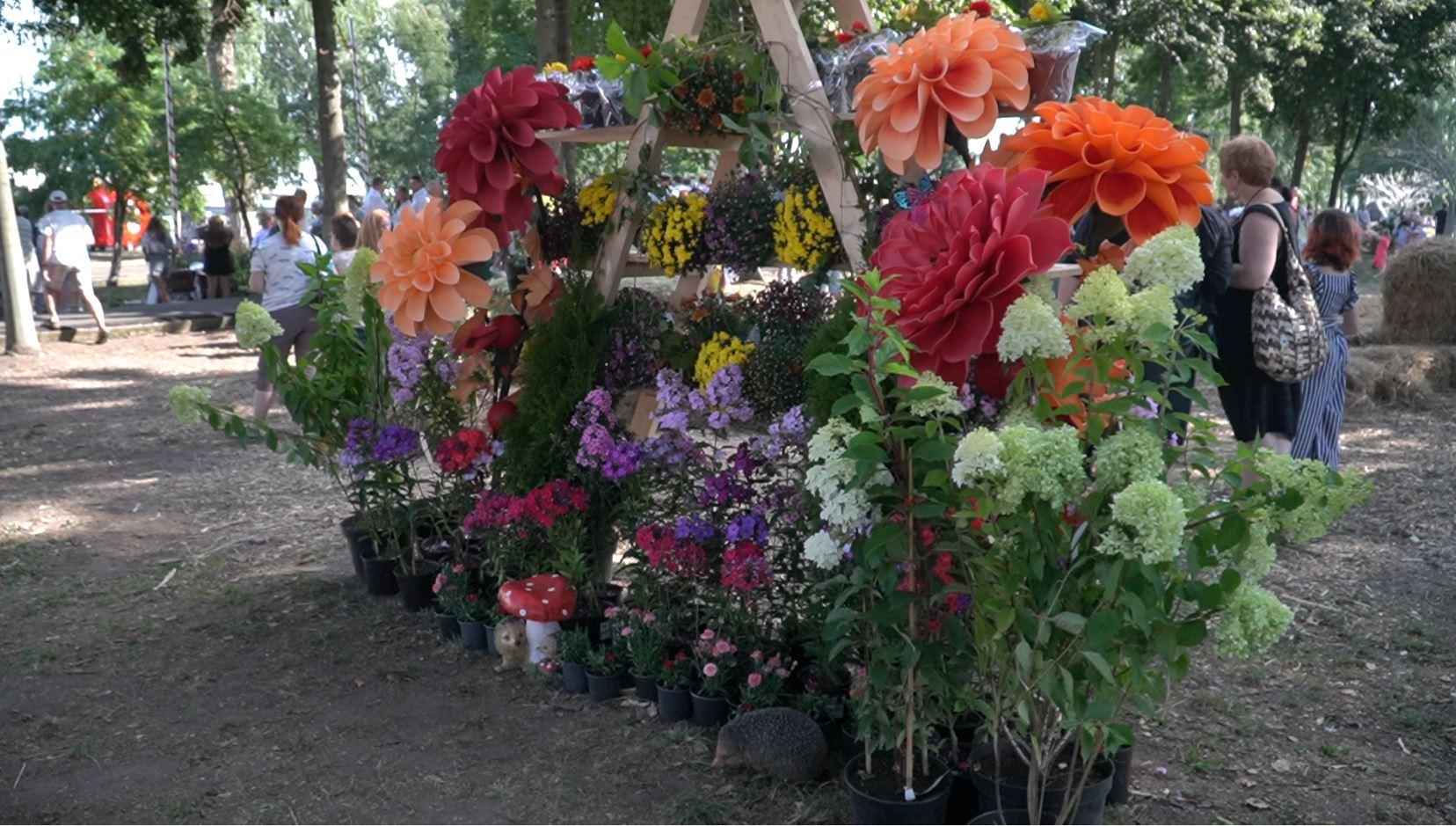 В самом сердце Орла в начале августа пройдет Фестиваль цветов