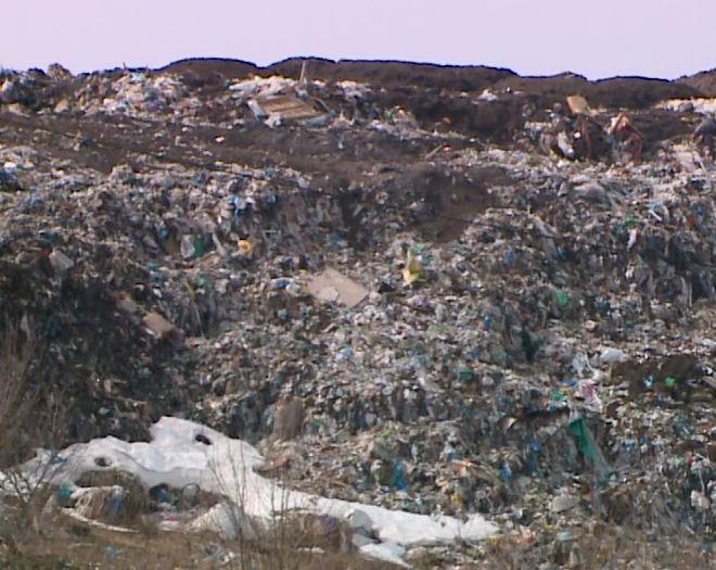 В Орловской области возбуждено уголовное дело из-за мусора