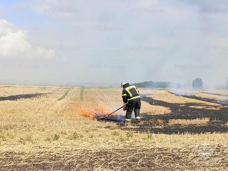 В Должанском районе сгорело 3 га стерни