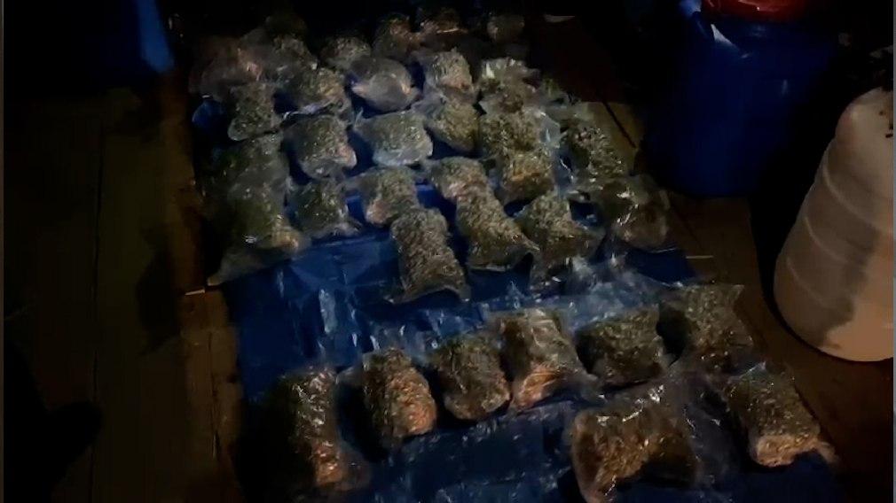 У жителя соседней с Орловской, Брянской области, изъяли 15 кг марихуаны