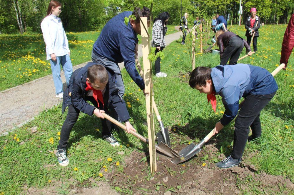 В Медведевском лесу Орла посажена аллея в честь 100-летия пионерии  
