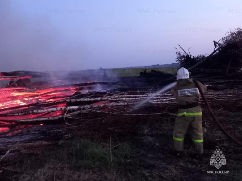 Сжигание спиленных деревьев в Знаменском районе привело к административному расследованию