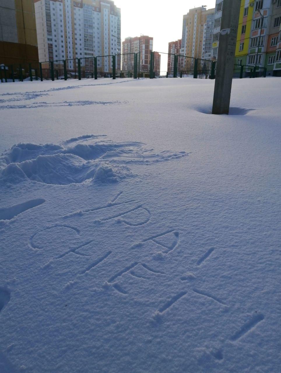 До конца выходных в Орловской области планируют расчистить от снега все дворы