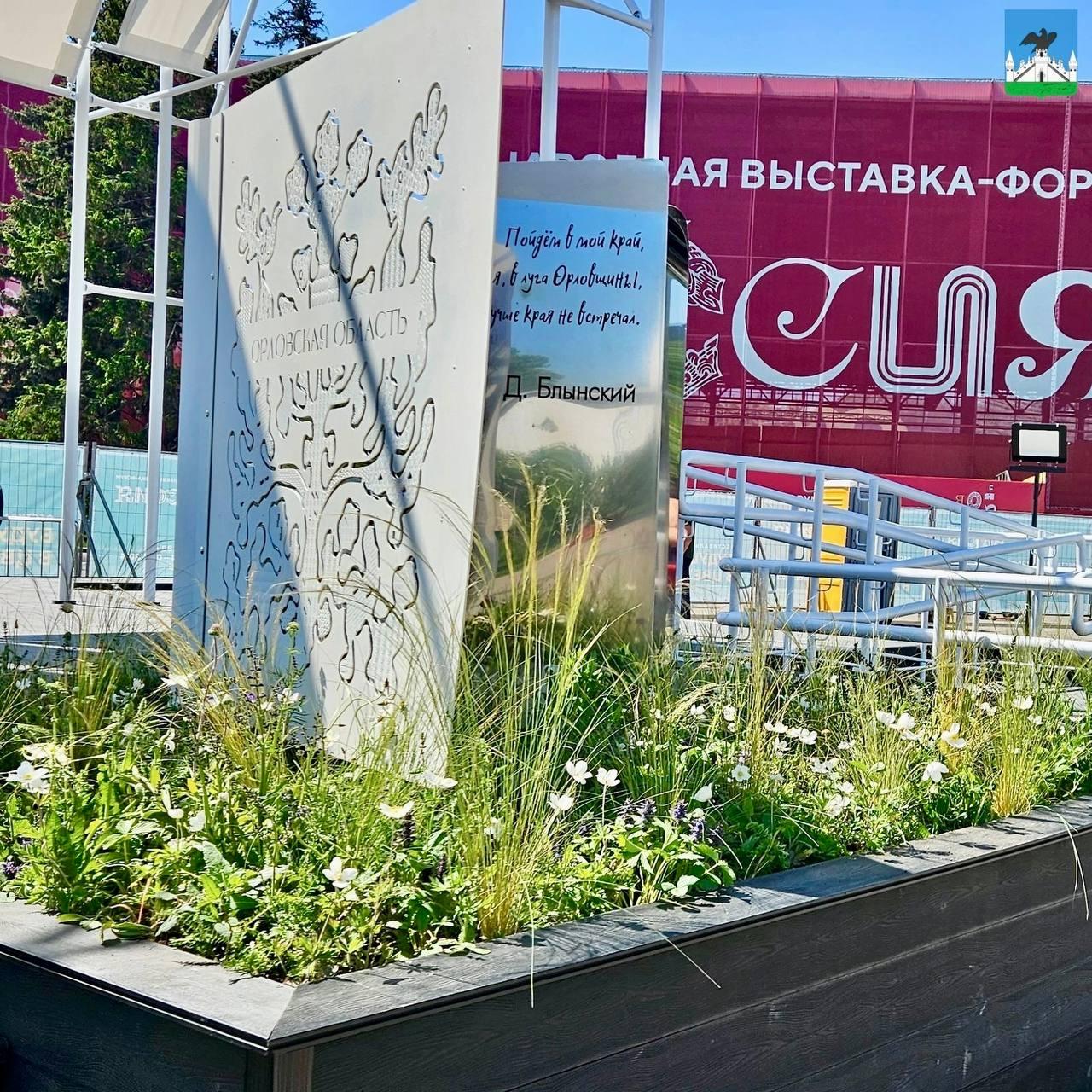 Цветком Орловской области на выставке «Россия» стала ветреница лесная
