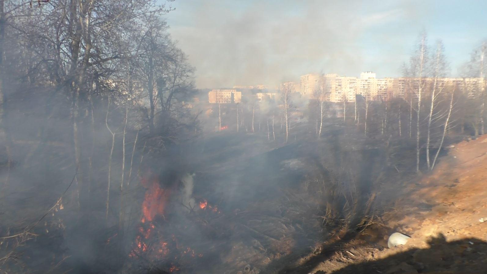 61 раз за сутки выезжали орловские пожарные на тушение горящей травы