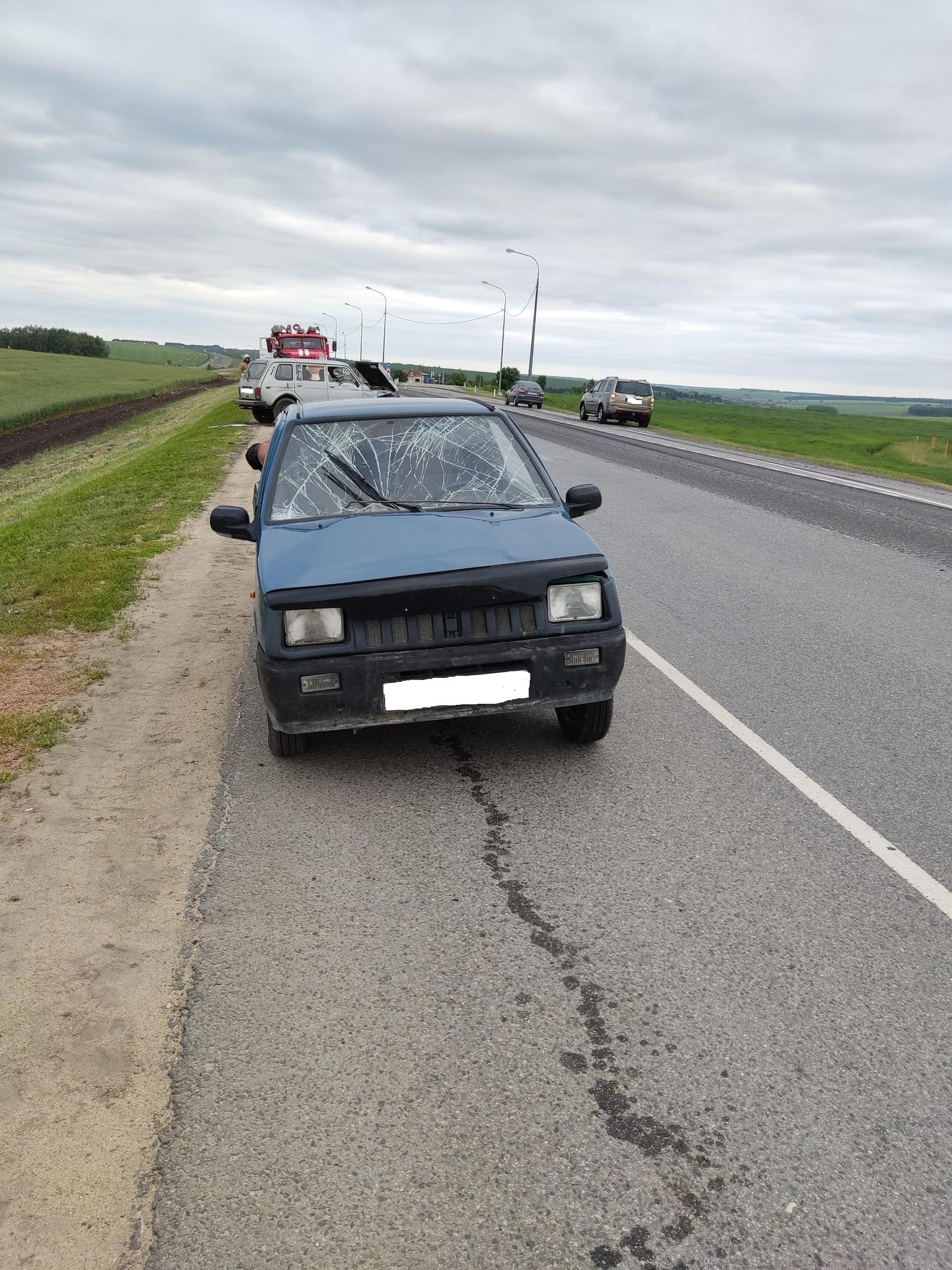 Опасная обочина: на орловский дороге в стоящем автомобиле пострадало два человека