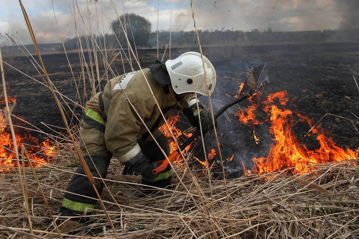 Орловская область продолжит взаимодействовать с соседями в пожароопасный период 