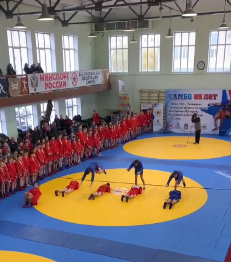В Орловской области стартовали соревнования по самбо