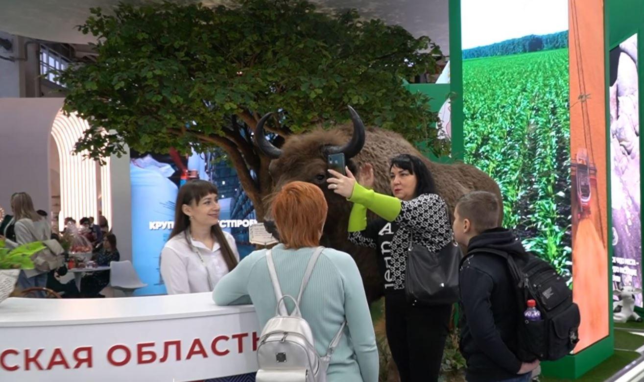 27 февраля, в орловском павильоне на выставке «Россия» пройдет День предпринимательства
