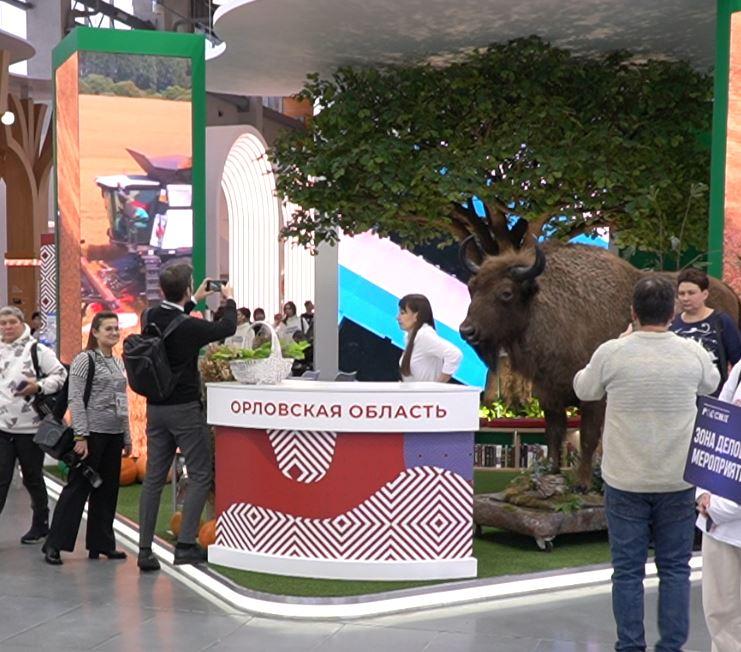 В орловском павильоне на выставке «Россия» гостям подарили более 700 пригласительных в музеи и театры региона