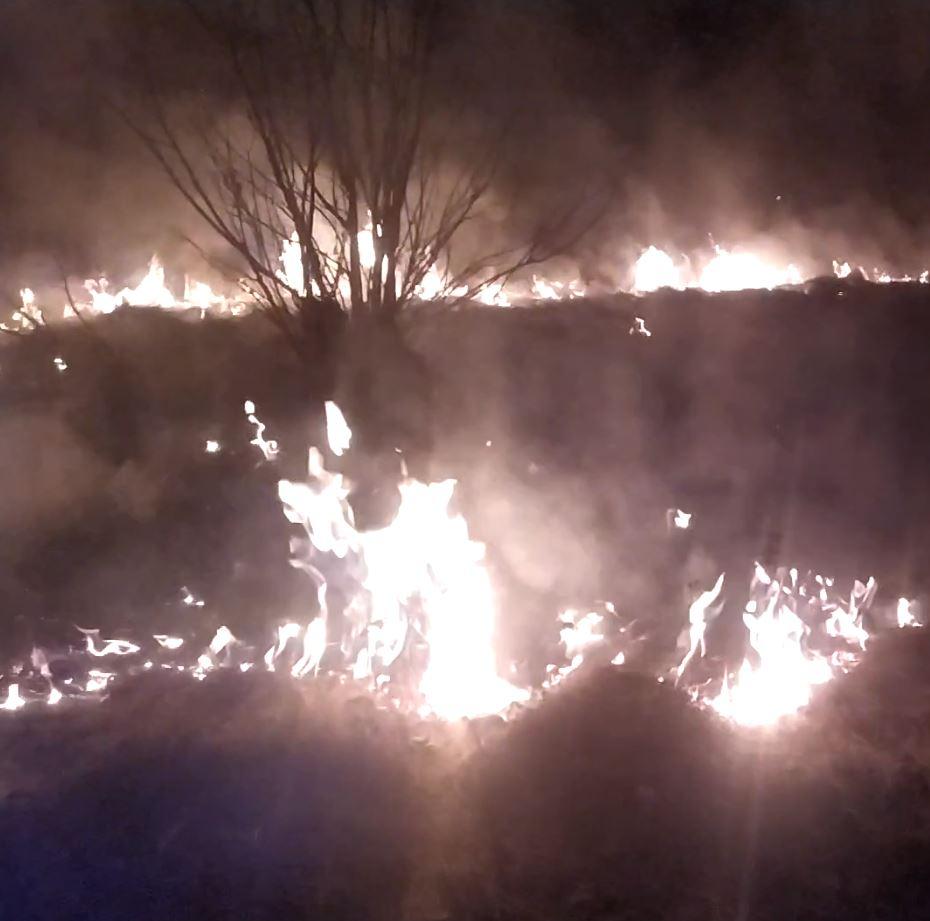 Три гектара сухой травы горело в Орловском муниципальном округе