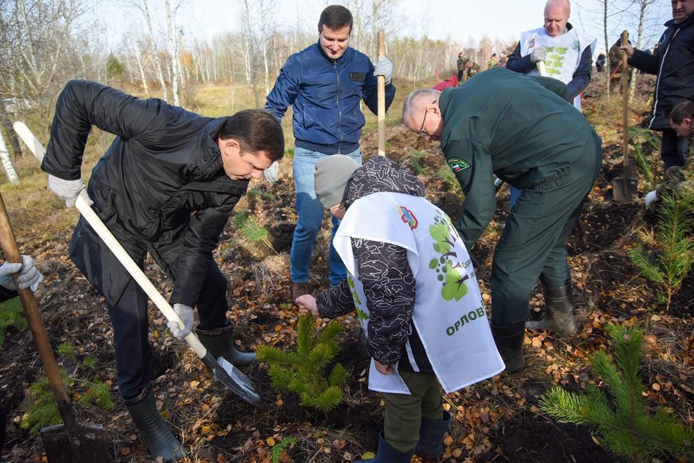 13,5 тысяч молодых сосен высадили на истоке реки Оки в Орловской области