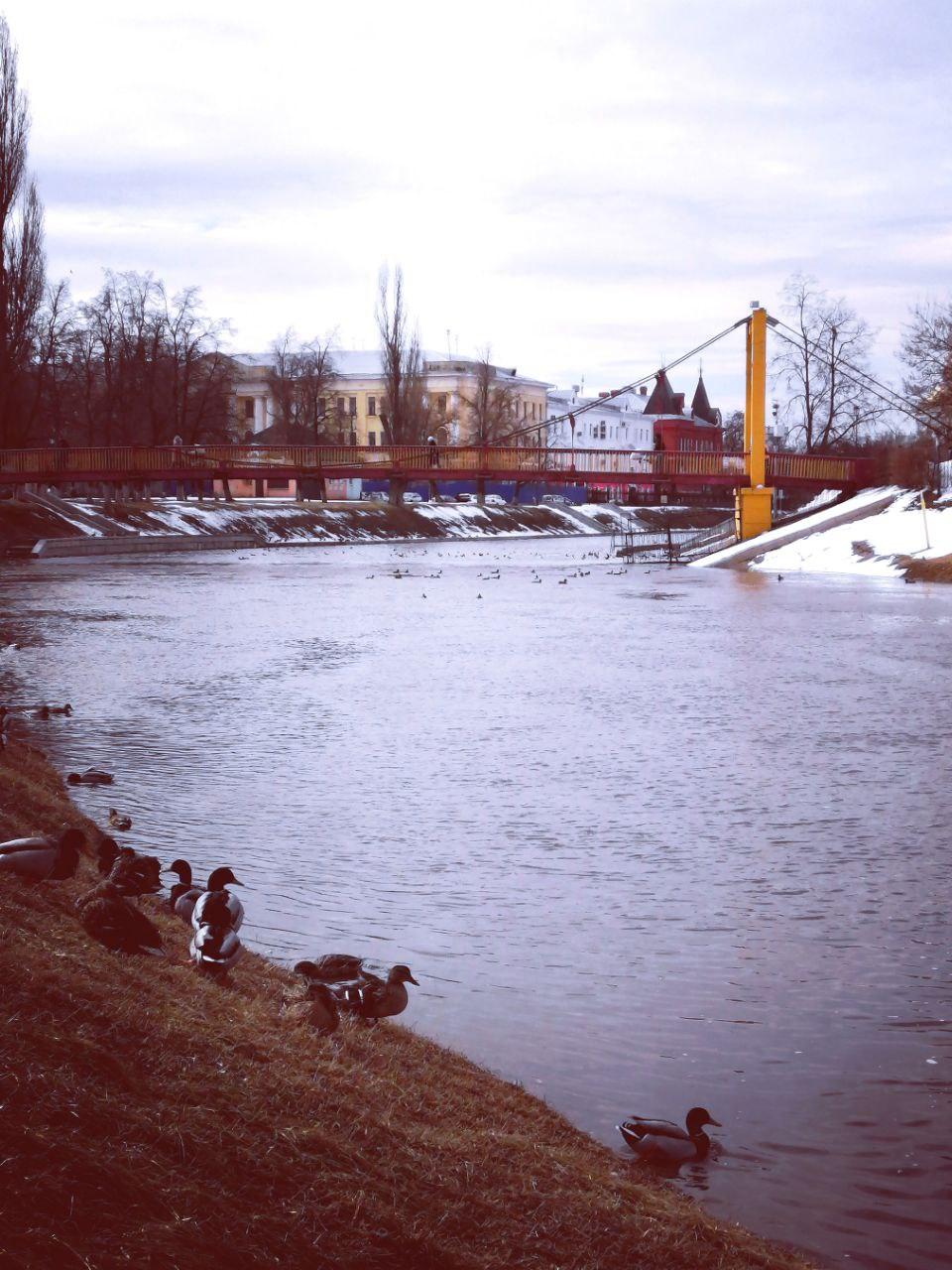 Уровень воды в реках Орла снизился на 20 см.