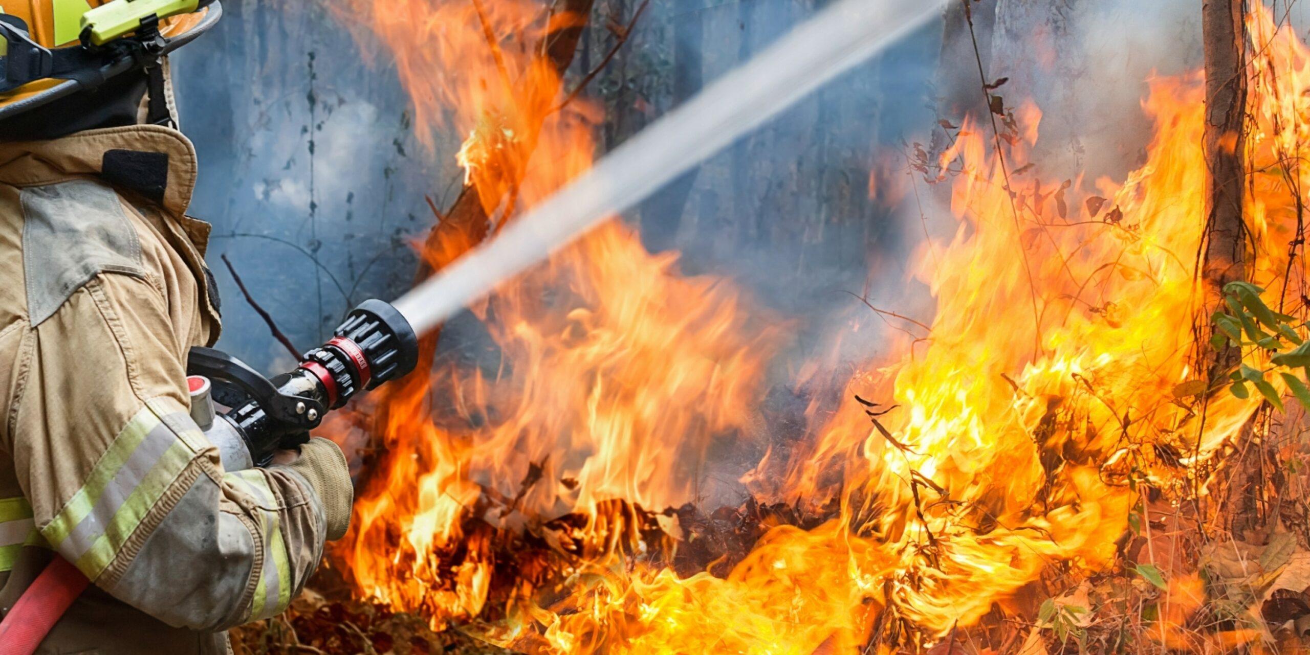 В лесах Орловской области с 15 апреля начнётся пожароопасный сезон 