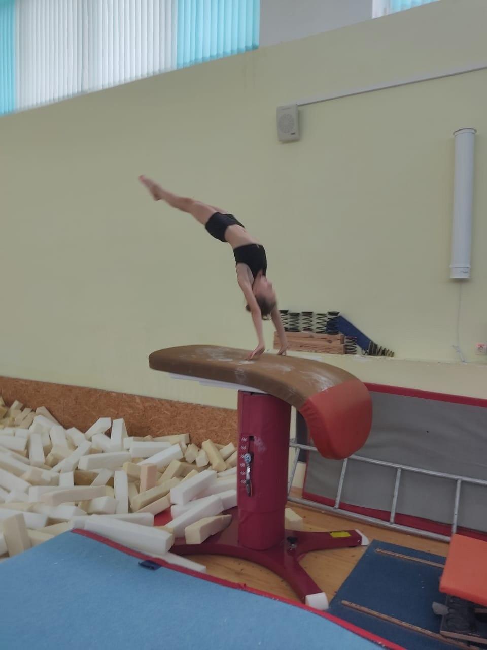 Орловские гимнасты получили новое оборудование