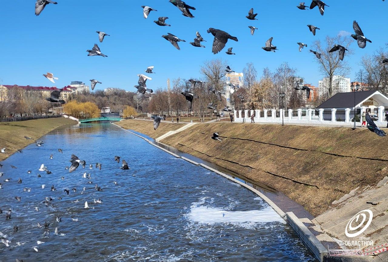 Погода подарит жителям Орловской области майское тепло уже в конце марта