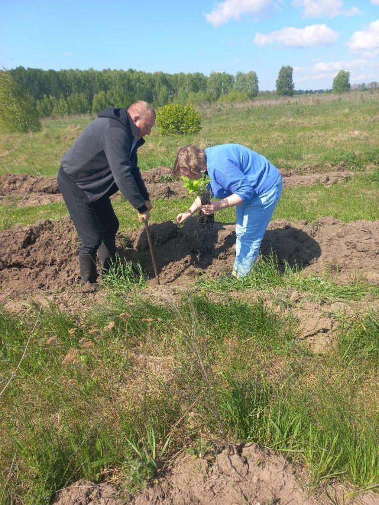 «Сад Памяти» в Орловской области стал больше на 200 маленьких дубов