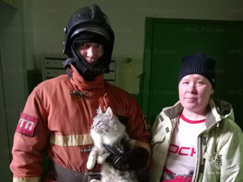 Мценские пожарные вернули кота хозяйке