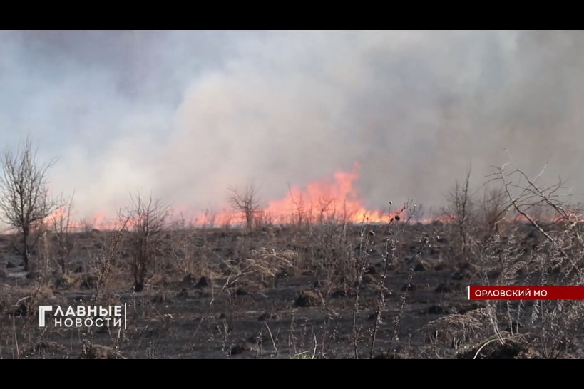 70 раз за сутки выезжали орловские пожарные на тушение сухой травы