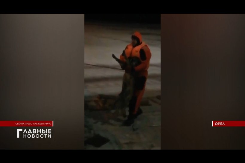 Орловские спасатели достали из полыньи тонущую собаку