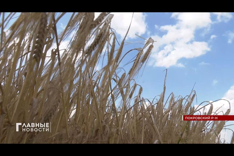Орловские аграрии уже намолотили около 3,5 млн. тонн зерна