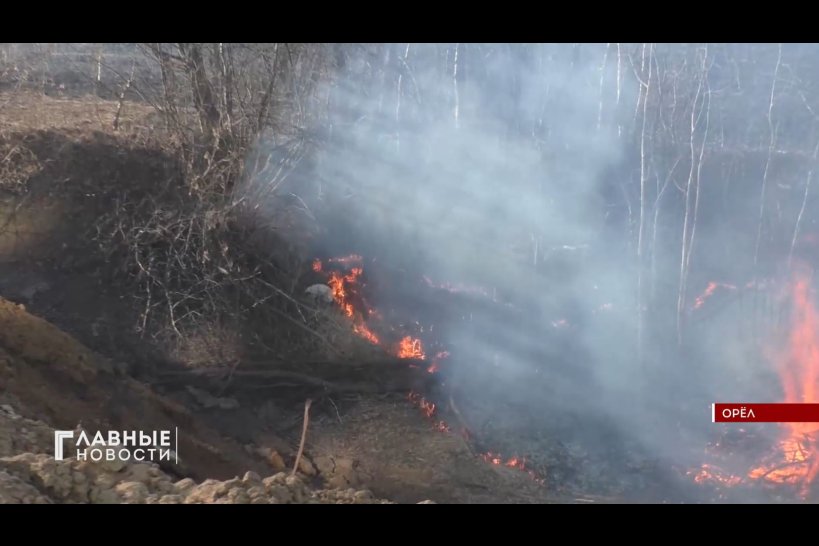 В Орловской области резко увеличилось количество пожаров, до 70 в сутки