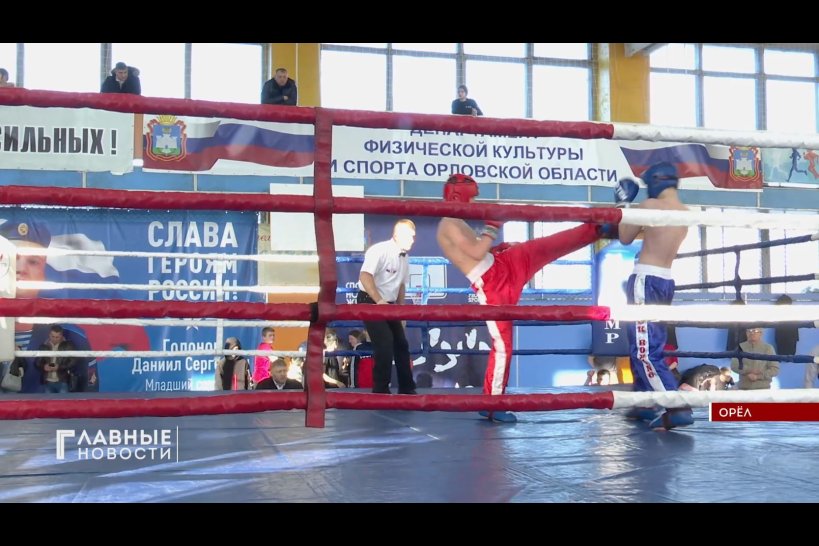Определились призеры чемпионата Орловской области по кикбоксингу
