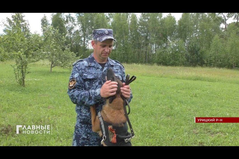 21 июня те, кто работает в России со служебными собаками, отметят праздник