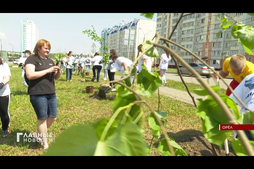 Жители Зареченского микрорайона в Орле сделали свой двор зеленее